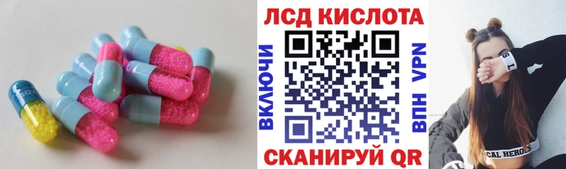 площадка формула  Новотитаровская  Лсд 25 экстази кислота 