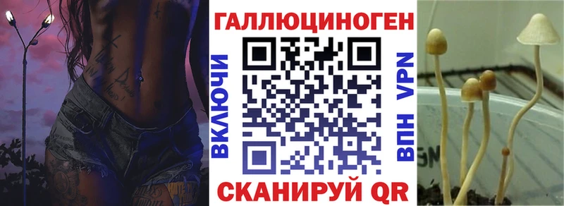 где найти наркотики кракен рабочий сайт Псилоцибиновые грибы ЛСД Новотитаровская